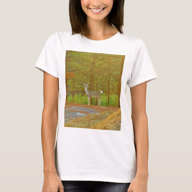 CAMISETA DSCF4041.JPG (Anverso)