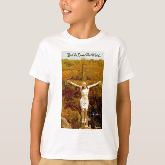 CAMISETA DSCN2680