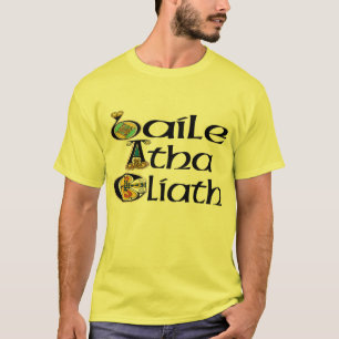 Camiseta Dublín (gaélico)