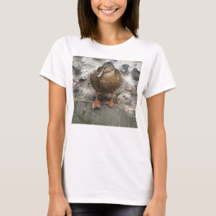 Camiseta Duck on the Wall Ladies T Shirt