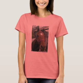 Camiseta Dudley Retirement Tee
