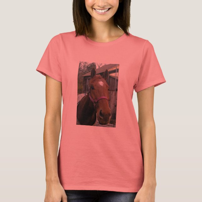 Camiseta Dudley Retirement Tee (Anverso)