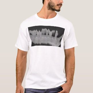 Camiseta dulcamara 1