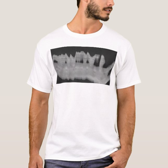 Camiseta dulcamara 1 (Anverso)