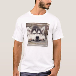 Camiseta Dulce cachorro siberiano espantado