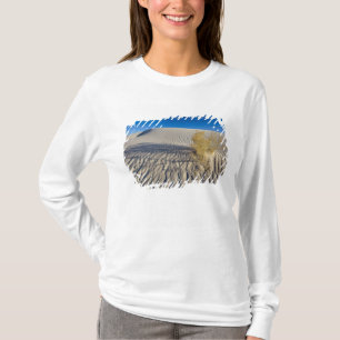 Camiseta Dunas de arena en el Monumento Nacional White Sand