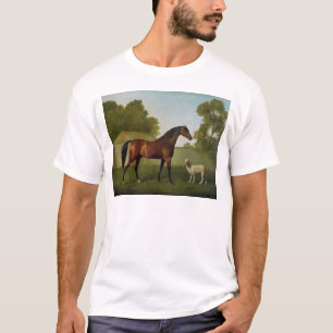 Camiseta Dungannon, la propiedad de coronel O'Kelly