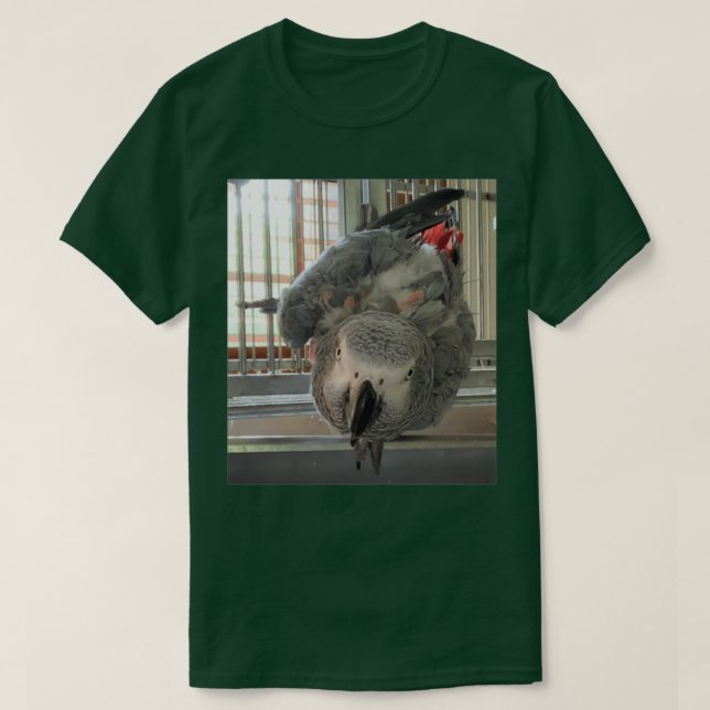 Camiseta Dylans mirándote (Diseño del anverso)