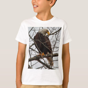 Camiseta Eagle calvo