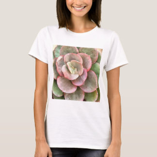 Camiseta Echeveria Cactus Suculento Pintura Acrílica