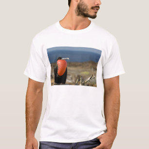 Camiseta Ecuador, Galápagos, Isla Genovesa. 6.º príncipe