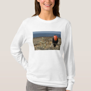 Camiseta Ecuador, Galápagos, Isla Genovesa. Príncipe