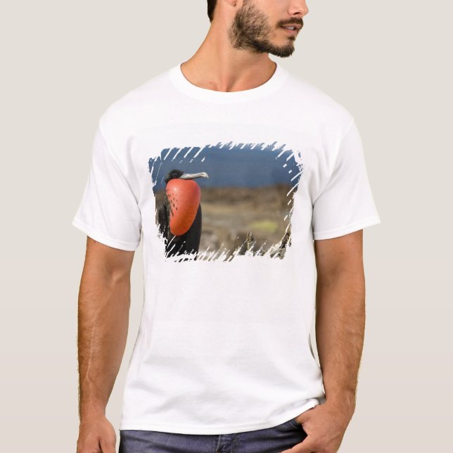 Camiseta Ecuador, Galápagos, Isla Genovesa. Príncipe (Anverso)