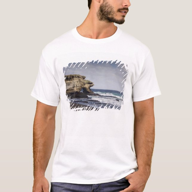 Camiseta Ecuador, Galápagos, Santiago (también conocido com (Anverso)