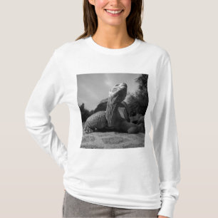 Camiseta Ecuador, Islas Galápagos Parque Nacional, Santa
