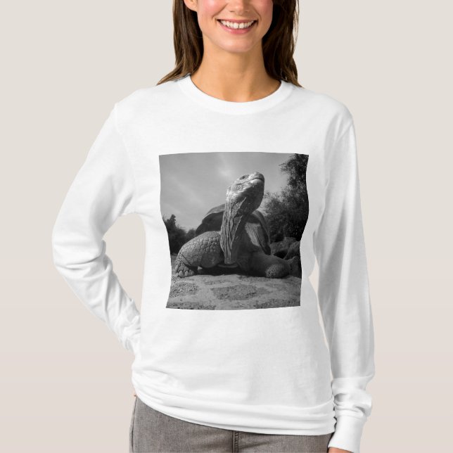 Camiseta Ecuador, Parque Nacional de las Islas Galápagos, S (Anverso)