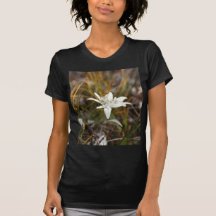 Camiseta Edelweiss alpino