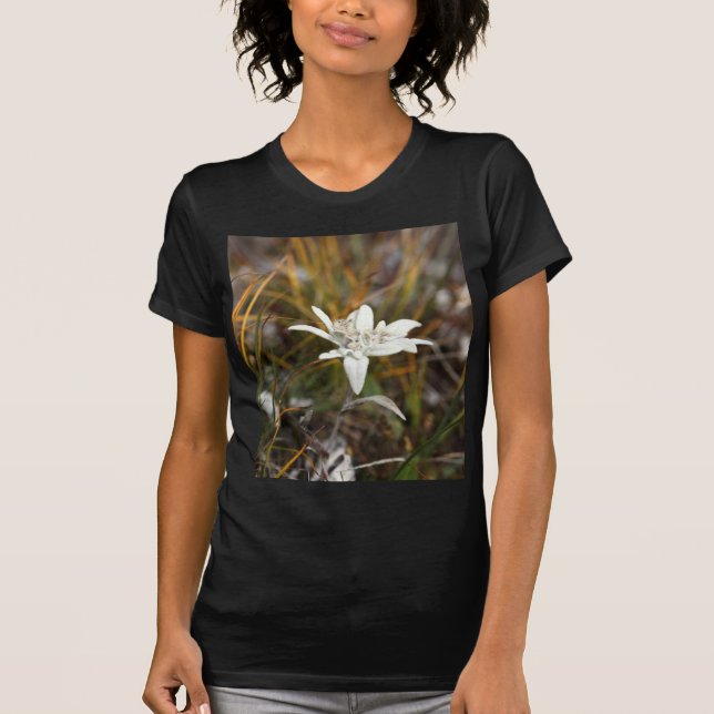 Camiseta Edelweiss alpino (Anverso)