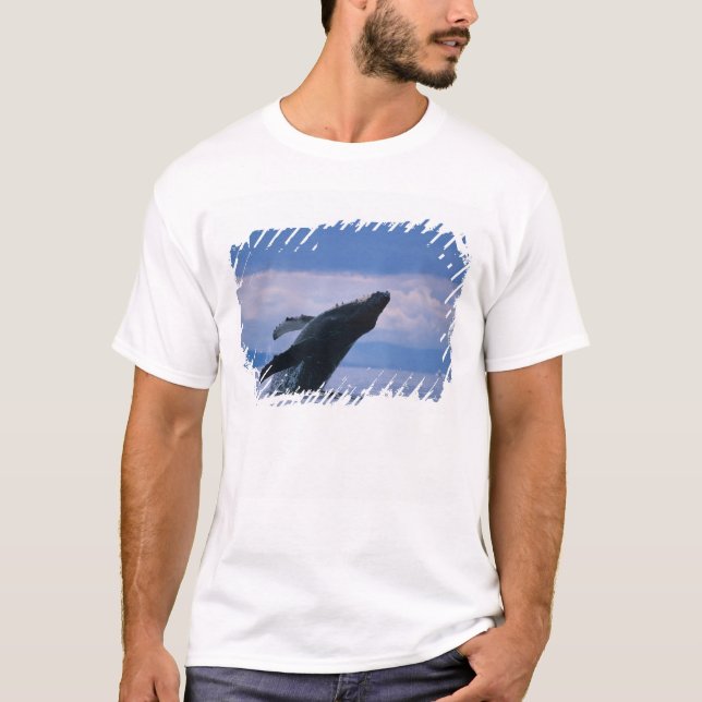 Camiseta EE.UU., Alaska, Bosque Nacional Tongass, Humpback (Anverso)