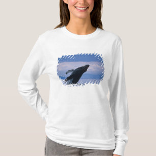 Camiseta EE. UU., Alaska, Bosque Nacional Tongass, Jorobado