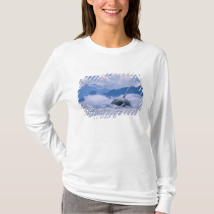 Camiseta EE. UU., Alaska, Bosque Nacional Tongass, Jorobado