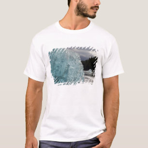 Camiseta EE. UU., Alaska, Bosque Nacional Tongass, Tracy 2