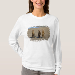 Camiseta EE. UU. Alaska. Cachorros de oso pardo costero