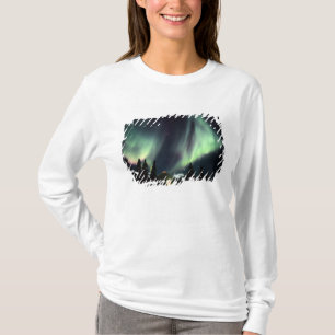 Camiseta EE. UU., Alaska, Chena Hot Springs. Aurora