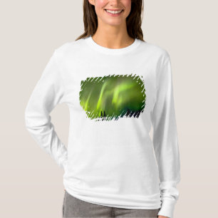 Camiseta EE. UU., Alaska, Chena Hot Springs. Aurora 3