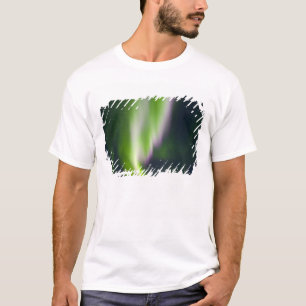 Camiseta EE. UU., Alaska, Chena Hot Springs. Aurora boreal
