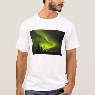 Camiseta EE. UU., Alaska, Chena Hot Springs. Aurora Boreal