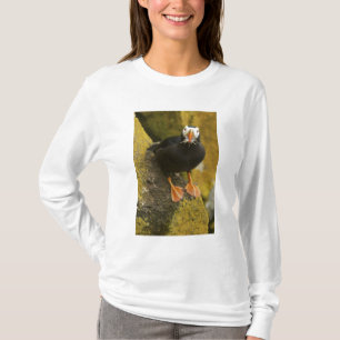 Camiseta EE. UU., Alaska, Islas Pribilof, San Pablo. Moño