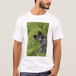 Camiseta EE. UU., Alaska, Islas Pribilof, St Paul. Azul