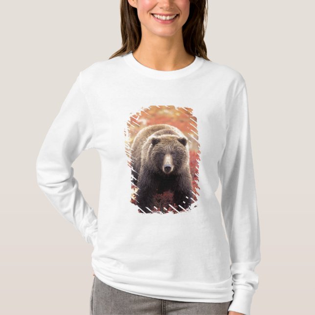 Camiseta EE.UU., Alaska, NNP Denali, Oso Grizzly femenino (Anverso)