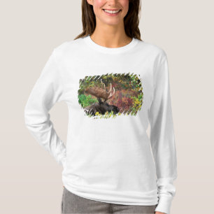 Camiseta EE. UU., Alaska, Parque Nacional Denali, Alce mach