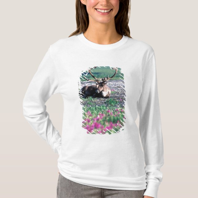 Camiseta EE. UU., Alaska, Parque Nacional Denali, Caribou (Anverso)