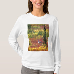 Camiseta EE. UU., Alaska, Parque Nacional Denali. Caribú