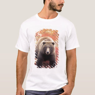 Camiseta EE. UU., Alaska, Parque Nacional Denali, osa grizz