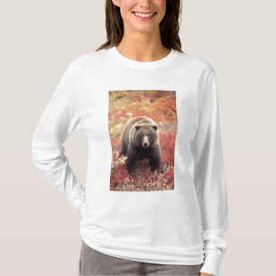 Camiseta EE. UU., Alaska, Parque Nacional Denali, osa grizz