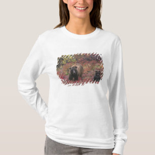 Camiseta EE. UU., Alaska, Parque Nacional Denali. Oso pardo