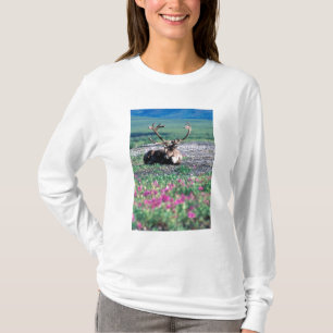 Camiseta EE. UU., Alaska, Parque Nacional Denali, Reno