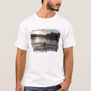 Camiseta EE. UU., Alaska, Parque Nacional Glacier Bay,