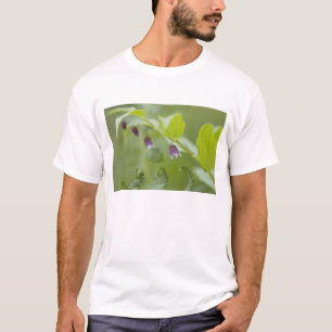 Camiseta EE. UU., Alaska, Parque Nacional Glacier Bay.