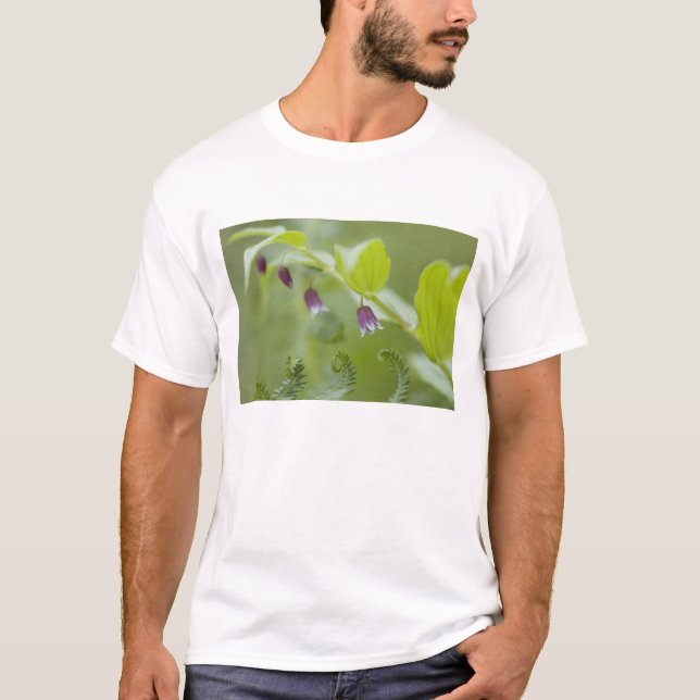 Camiseta EE. UU., Alaska, Parque Nacional Glacier Bay. (Anverso)