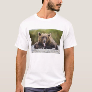 Camiseta EE. UU., Alaska, Parque Nacional Katmai, Bahía Kuk