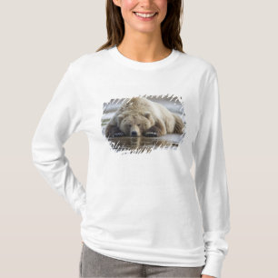 Camiseta EE.UU., Alaska, Parque Nacional Katmai, oso marrón