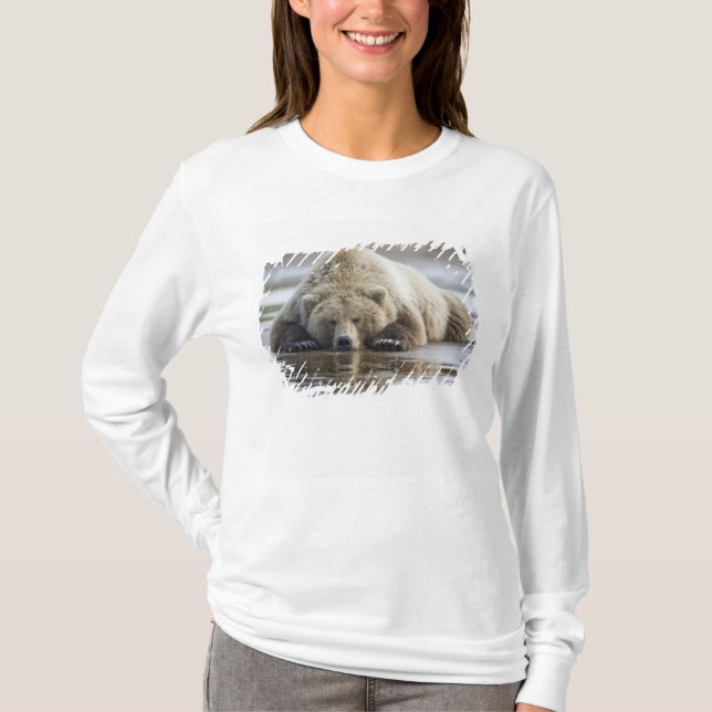 Camiseta EE.UU., Alaska, Parque Nacional Katmai, oso marrón (Anverso)