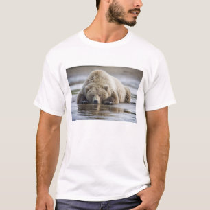 Camiseta EE. UU., Alaska, Parque Nacional Katmai, Oso Pardo