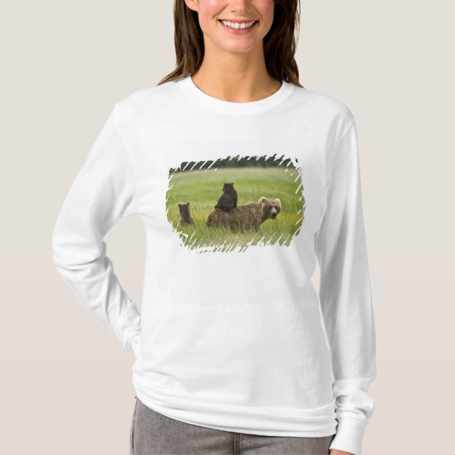Camiseta EE. UU., Alaska, Parque Nacional Lake Clark (Anverso)