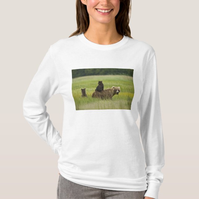Camiseta EE. UU., Alaska, Parque Nacional Lake Clark (Anverso)